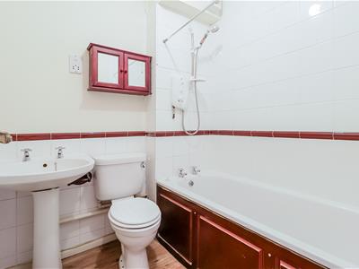 Picture 8